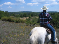 A view of Northern Michigan from Horseback